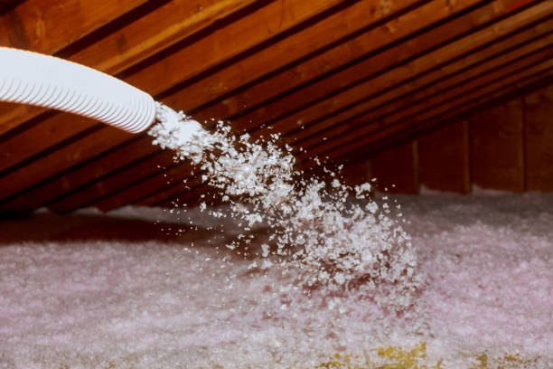 Best Commercial Insulation in Newton, AL