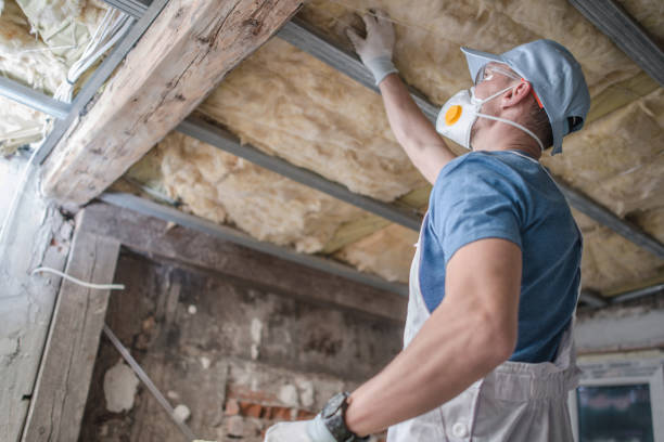 Best Insulation Materials and Products in Newton, AL