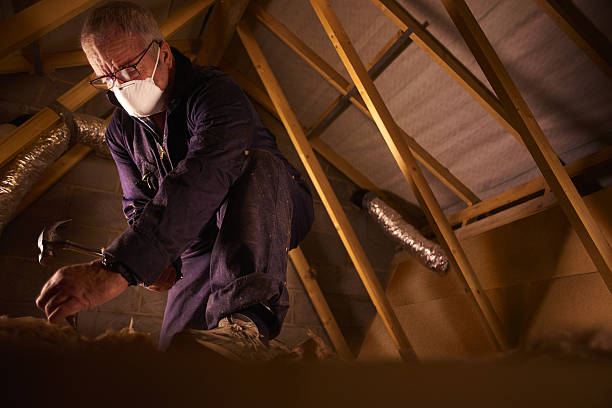 Best Commercial Insulation in Newton, AL